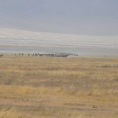  Ngorongoro Crater, TZ